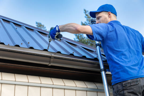 Best Chimney Flashing Repair  in Cutlerville, MI