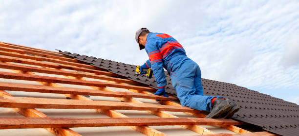 Best Roof Maintenance and Cleaning  in Cutlerville, MI